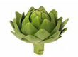 Artichoke